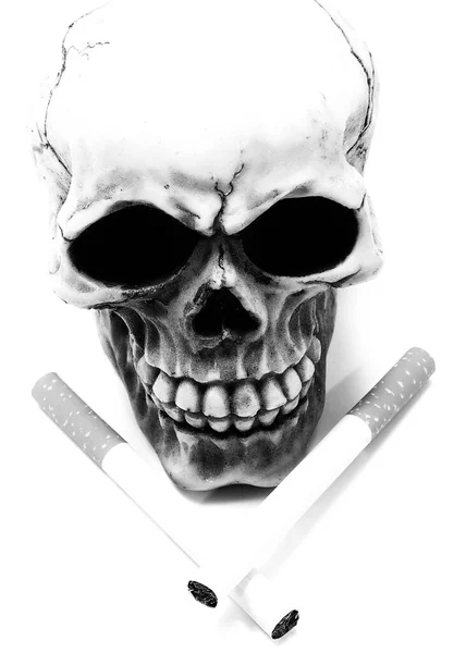 Human Skull Two Cigarettes Black White Make Concept Death Carcinogenic — Stock Photo, Image