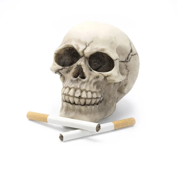 Twee Gekruiste Sigaretten Menselijke Schedel Malen Witte Achtergrond Symbool Van — Stockfoto