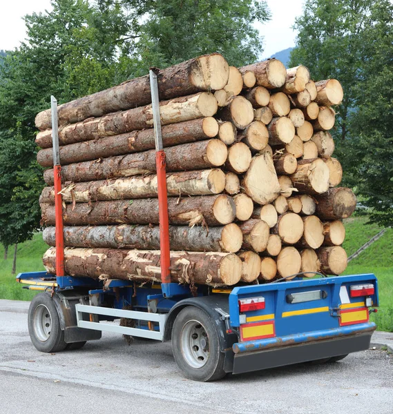 Large Truck Transporting Lots Freshly Cut Logs Sawmill Production Material — Stock Photo, Image