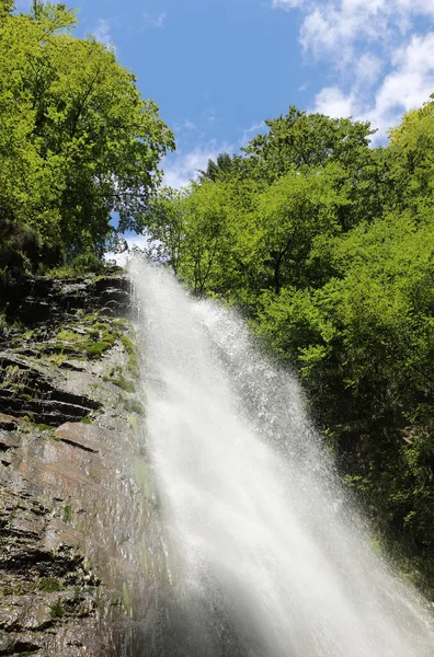 Sorgente Acqua Fresca Bollente Che Sgorga Tra Roccia Mezzo Agli — Foto Stock