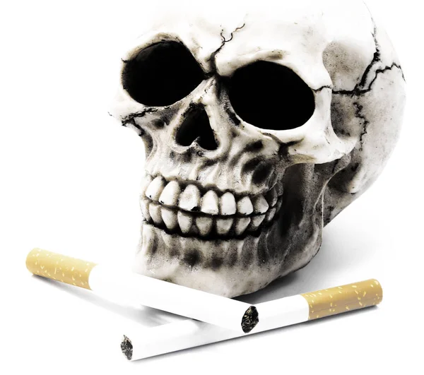 Human Skull Two Cigarettes Antique Dramatic Effect Symbol Vices Death — Stock Photo, Image