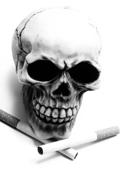 Two Crossed Cigarettes Human Skull Grinding White Background Symbol Toxicity — Foto Stock