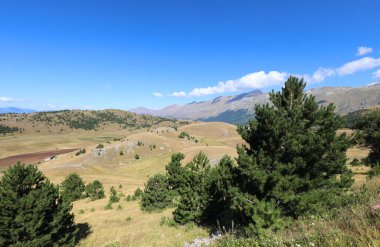 İtalya 'nın orta kesimindeki Abruzzo bölgesinde köknar ağaçları olan güzel bir manzara.