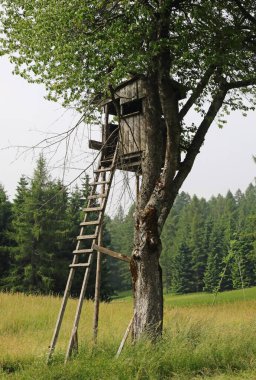 Avcılar tarafından kuşları vurmak için kullanılan ahşap kulübe kamuflaj ve görünmezlik.
