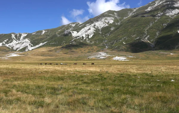 Amplo Panorama Dos Apeninos Região Abruzzo Centro Itália Dia Ensolarado — Fotografia de Stock