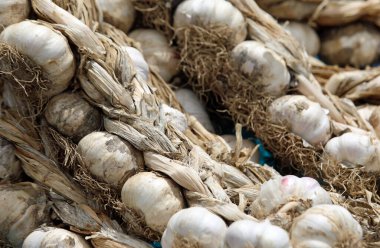 Güney Avrupa yerel pazarında satılık beyaz sarımsak çelengi