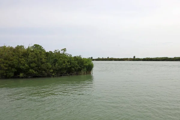 Large Embouchure Rivière Une Petite Île — Photo