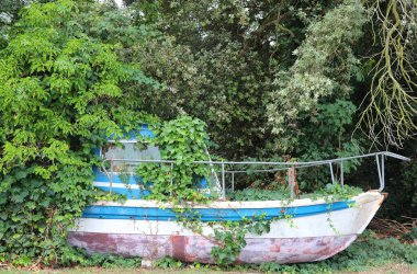 Eski terk edilmiş enkaz, yemyeşil orman bitkisiyle kaplıydı.