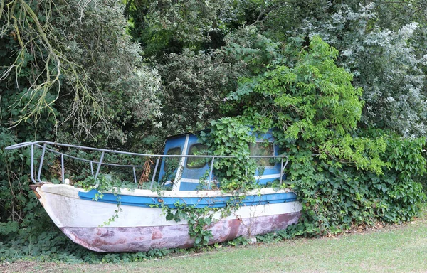 Naufrágio Barco Abandonado Todo Coberto Grama Muitas Plantas — Fotografia de Stock