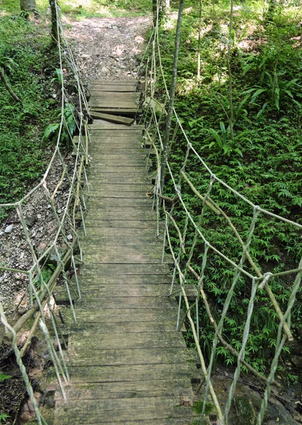 古老的悬吊青藏索桥和木桥在森林中央 — 图库照片