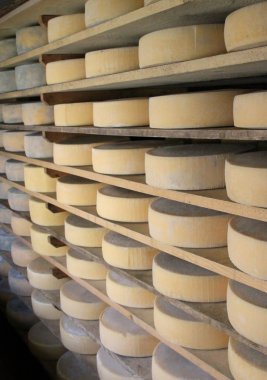 formları bir dağ kulübesi süt taze beyaz peynir