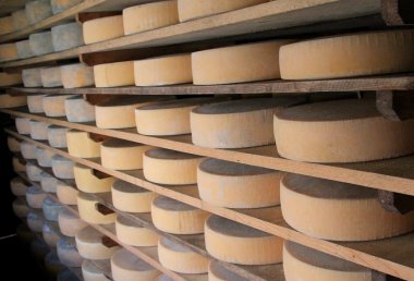 formları bir dağ kulübesi süt taze beyaz peynir