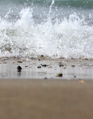 kumlu plaj kıyısında sıçramasına dalgalar