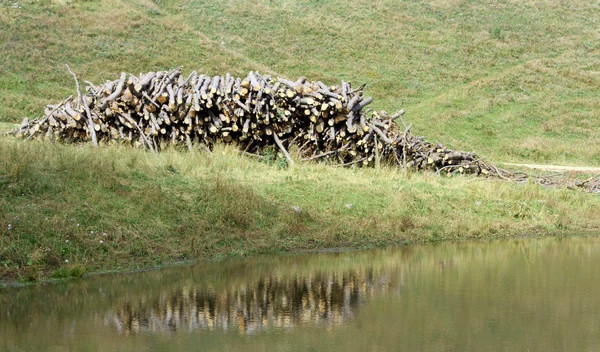 Pilha de madeira com reflexão sobre o lago — Fotografia de Stock