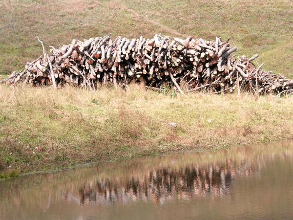 Huge pile of wood with reflection on the pond — Stock Photo, Image