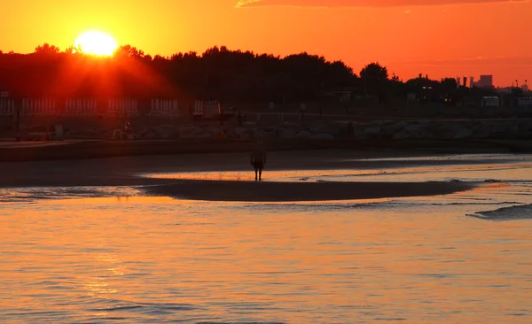 Radiant Dawn met oranje en rode tinten in de zee — Stockfoto