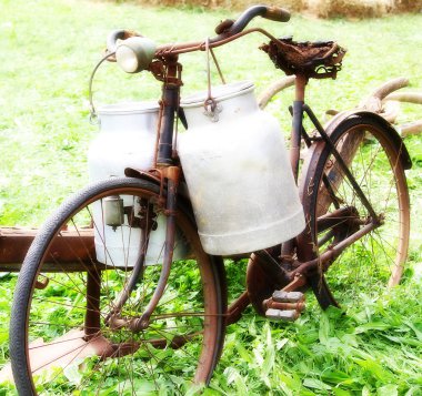 very rusty old bike of the milkman with two old milk cans with e