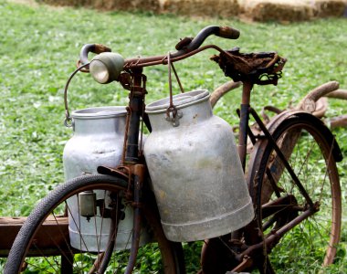 rusty old bike of the milkman with two old milk cans and broken 