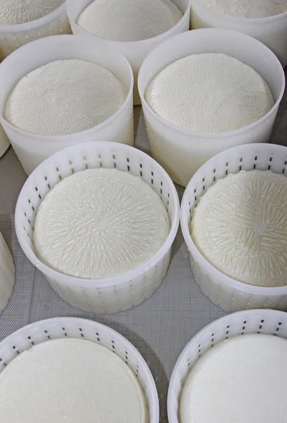 Cestas de queso ricotta recién producidas en productos lácteos —  Fotos de Stock