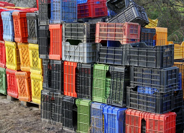 Caixa de plástico para coletar frutas e uvas na fazenda — Fotografia de Stock