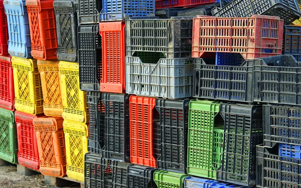 Gekleurde plastic doos voor het verzamelen van fruit en druiven op de boerderij — Stockfoto