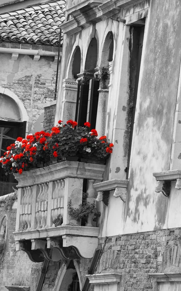 Blommig balkong på ett gammalt venetianskt palats — Stockfoto