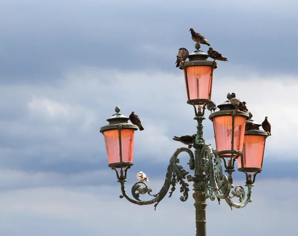 Ancient Street lamp with the pigeons in Venice — Stock Photo, Image