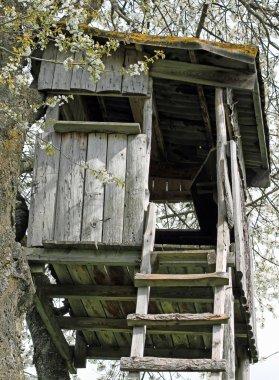 dağlarda bir ağacın inşa avcı kulübesi