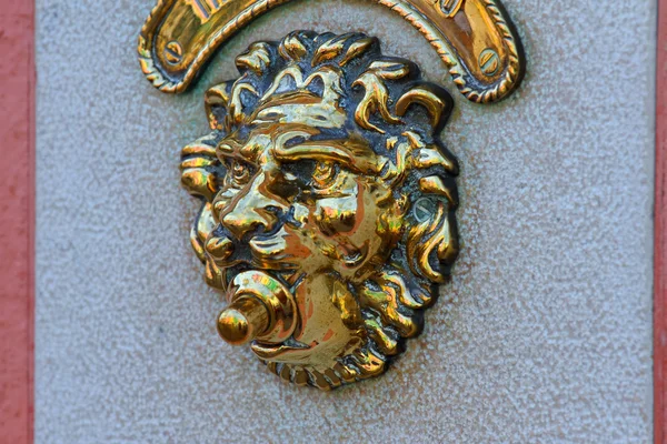 Door bell in the shape of a golden lion — Stock Photo, Image