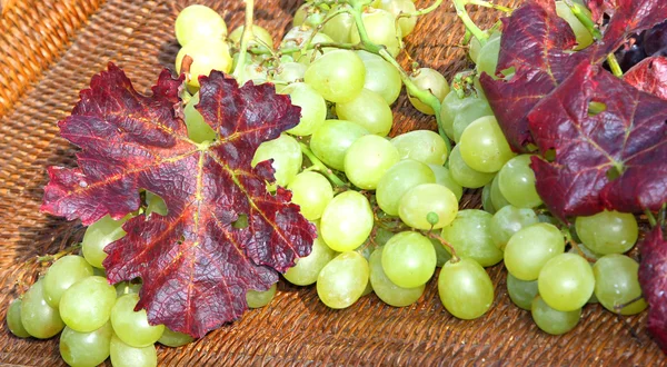 Racimo de uvas blancas en canasta de mimbre en otoño — Foto de Stock