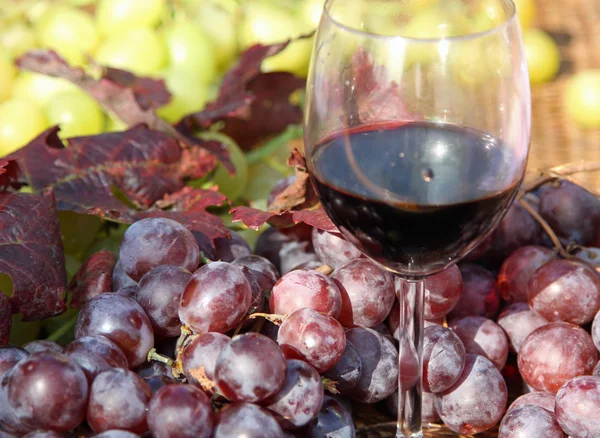 Glas Rotwein mit Trauben aus schwarzen und weißen Trauben — Stockfoto