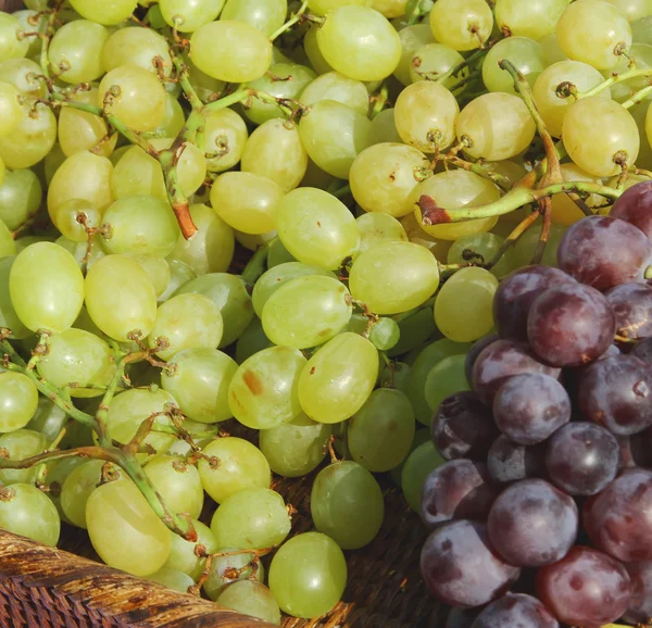Grapes in wicker basket in the autumn after the harvest — Stock Photo, Image