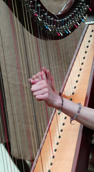 Delicate feminine hands playing the strings of an medieval harp — Stock Photo, Image
