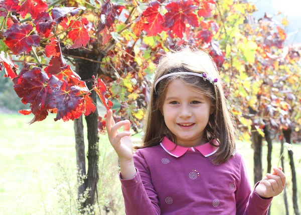 Hermosa chica en el viñedo en otoño — Foto de Stock