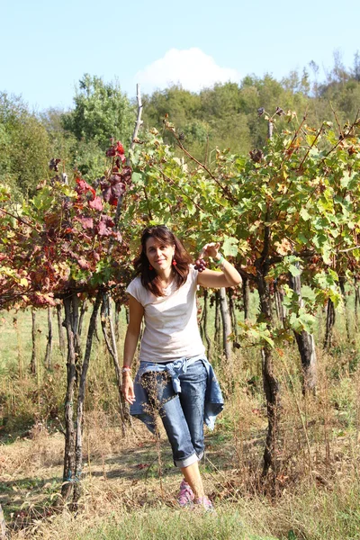 Pretty woman in the vineyard in autumn in the hills — Stock Photo, Image