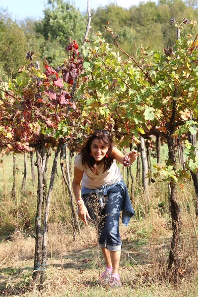 Ung kvinna i vingården under hösten i italienska bergen — Stockfoto