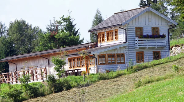 Casa de campo con establos en las montañas en verano —  Fotos de Stock
