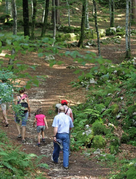 Familia feliz camina en medio de la naturaleza durante una excursión en el moun — Foto de Stock