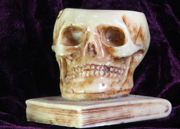 上記の古代の本の偉大な頭蓋骨 — ストック写真