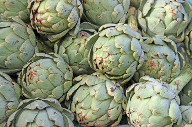 Olgun enginar yeşil ipuçları