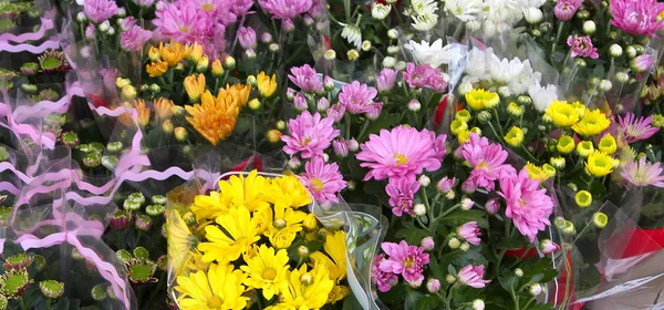 Bloemen voor verkoop door groothandel bloemist in de grote bloemenmarkt — Stockfoto