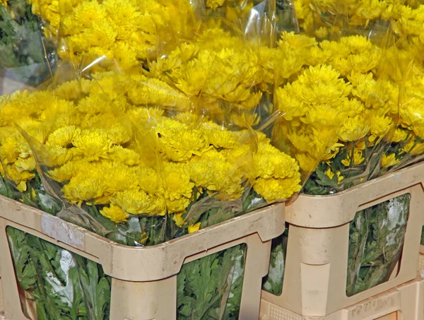 Bos van bloemen voor verkoop door groothandel bloemist in de grote bloem — Stockfoto