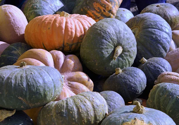 Pumpor att dekorera halloween kväll — Stockfoto