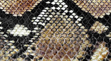 background of snake skin for leather clothes clipart
