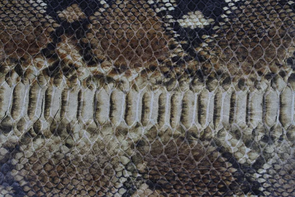 蛇皮皮革配件 — 图库照片
