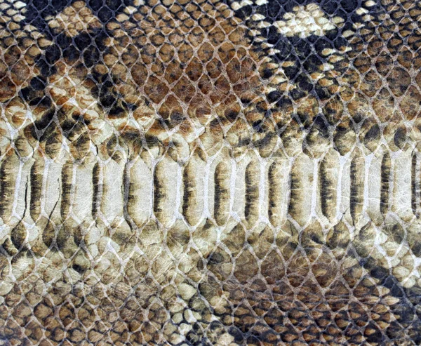 Hintergrund der Schlangenhaut — Stockfoto