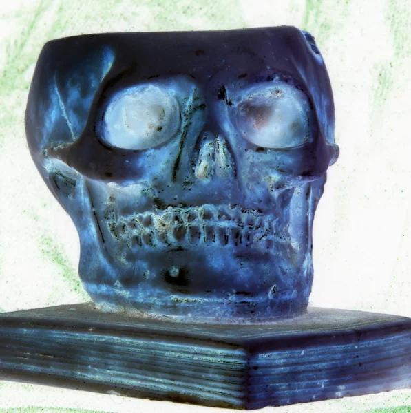 上記の古代の本の偉大な頭蓋骨 — ストック写真