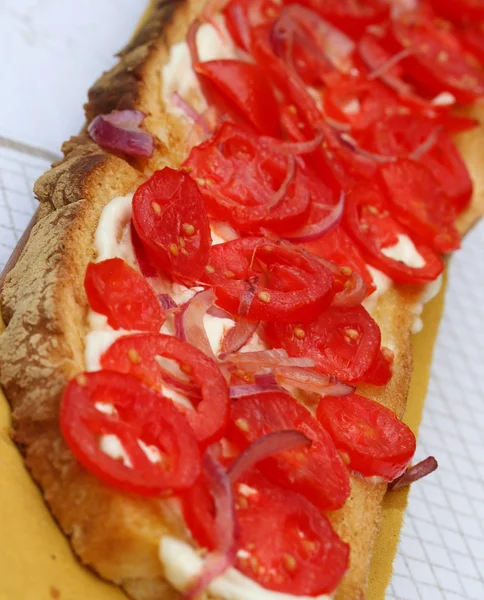 Włoski bruschetta z pomidorami i cebulą — Zdjęcie stockowe