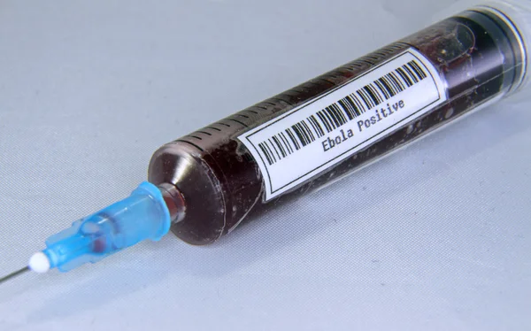 Syringe with blood to make the ebola virus tests during the epid — Stock Photo, Image