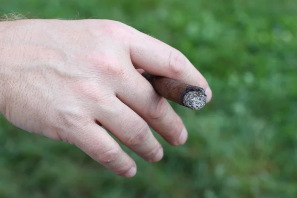 Unga rökare med fina cigarr i handen — Stockfoto